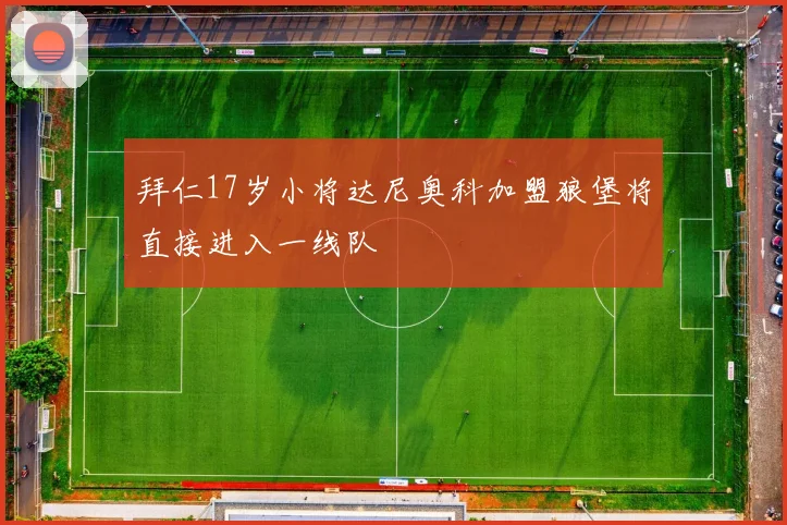 拜仁17岁小将达尼奥科加盟狼堡将直接进入一线队